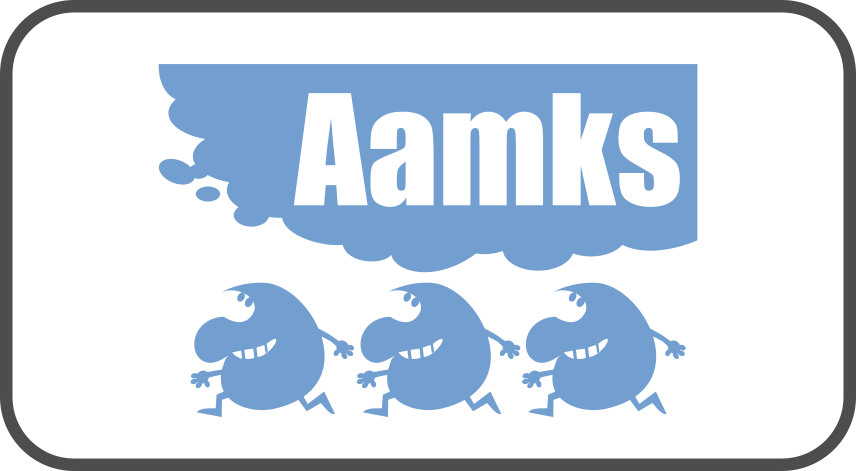 AAMKS - probabilistic fire risk analysis framework